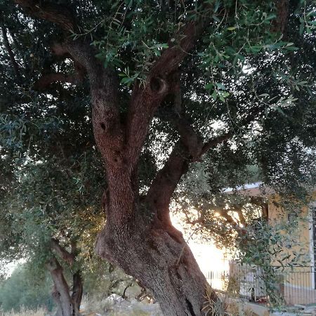 taverna catena Brusciano Esterno foto